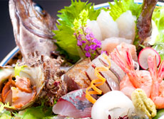 いきいき地魚